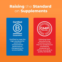 Adult Multivitamin Gummies